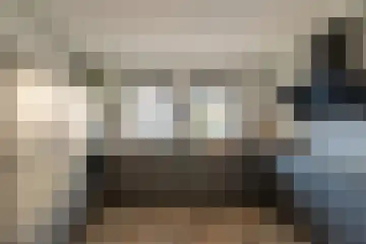 Nicolaas Stellingwerf 50 Sleeuwijk thumbnail 6