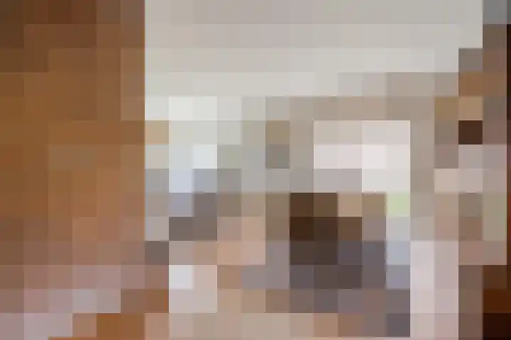 Nicolaas ten Woldeweg 19 de Wijk thumbnail 12