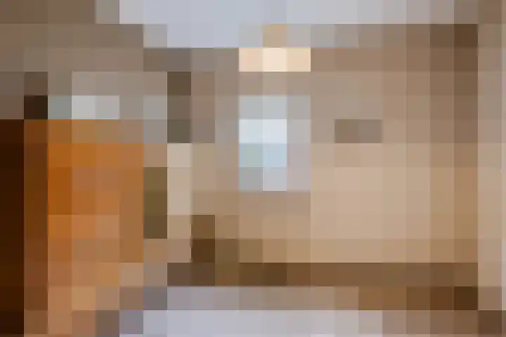 Nicolaas ten Woldeweg 19 de Wijk thumbnail 13