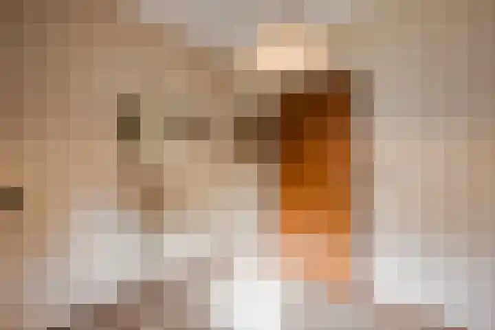 Nicolaas ten Woldeweg 19 de Wijk thumbnail 14