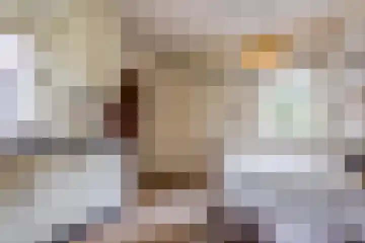 Nicolaas ten Woldeweg 19 de Wijk thumbnail 16