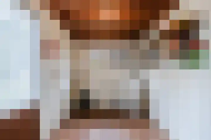 Nicolaas ten Woldeweg 19 de Wijk thumbnail 19