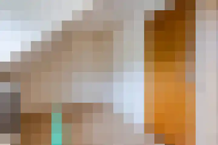 Nicolaas ten Woldeweg 19 de Wijk thumbnail 33