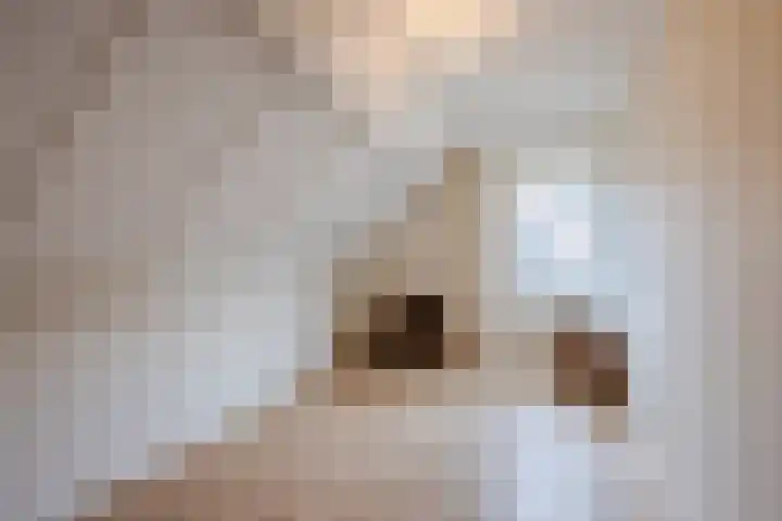 Nicolaas ten Woldeweg 19 de Wijk thumbnail 34