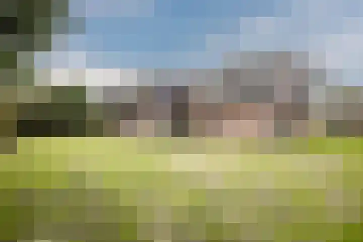 Nicolaas ten Woldeweg 19 de Wijk thumbnail 36