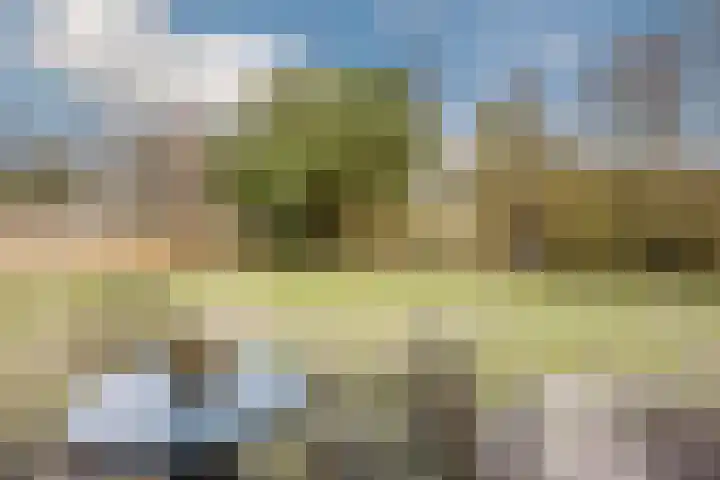 Nicolaas ten Woldeweg 19 de Wijk thumbnail 37