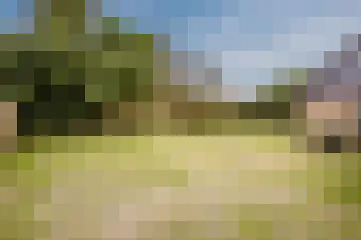 Nicolaas ten Woldeweg 19 de Wijk thumbnail 38