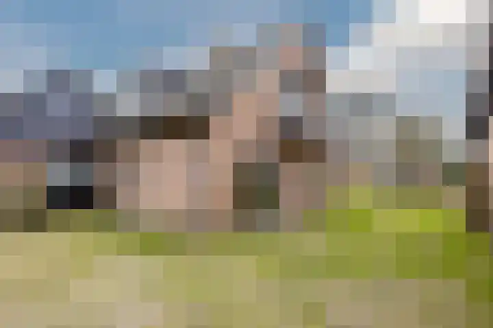 Nicolaas ten Woldeweg 19 de Wijk thumbnail 39