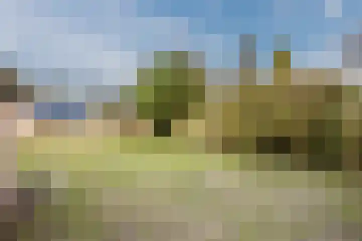 Nicolaas ten Woldeweg 19 de Wijk thumbnail 40