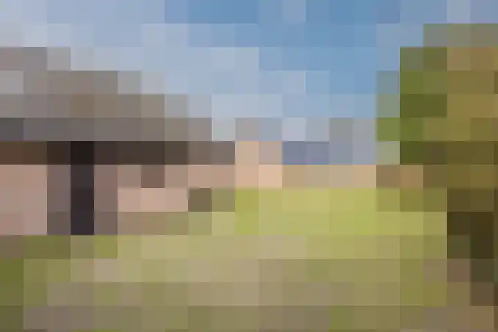 Nicolaas ten Woldeweg 19 de Wijk thumbnail 41