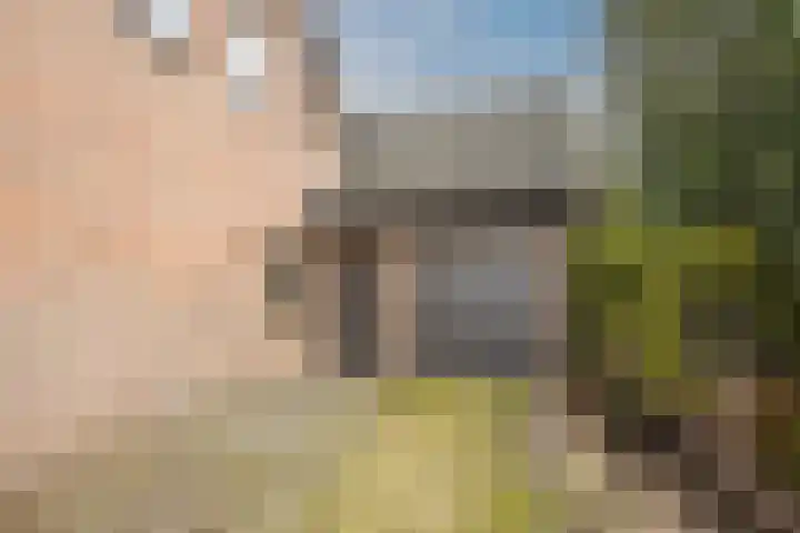 Nicolaas ten Woldeweg 19 de Wijk thumbnail 43
