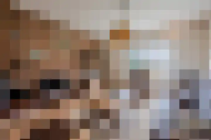 Nicolaas ten Woldeweg 19 de Wijk thumbnail 8