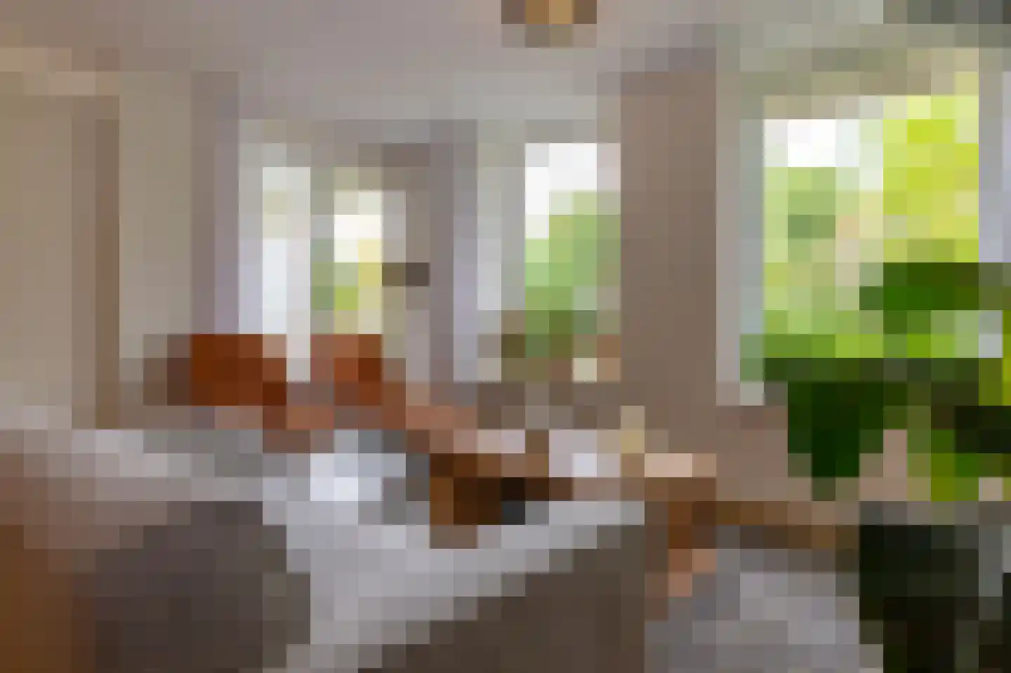 Nicolaas ter Maethstraat 2 D Steenwijk thumbnail 12