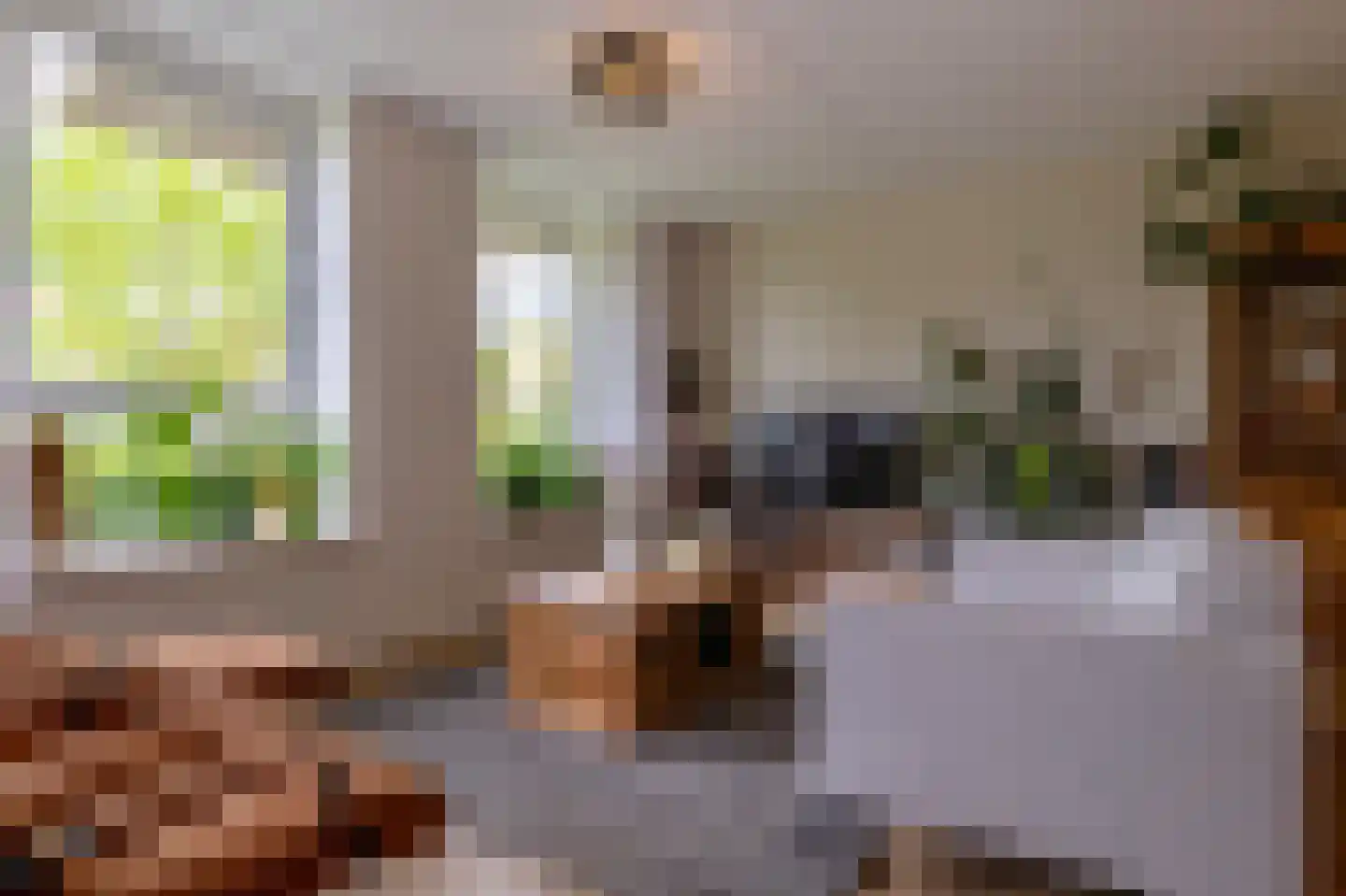 Nicolaas ter Maethstraat 2 D Steenwijk thumbnail 13