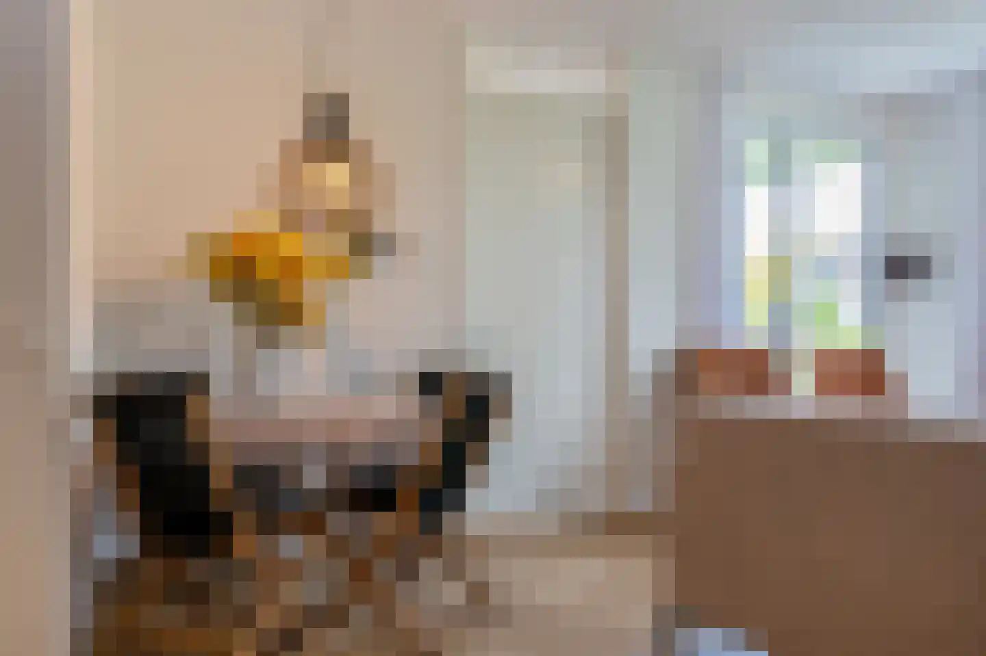 Nicolaas ter Maethstraat 2 D Steenwijk thumbnail 14