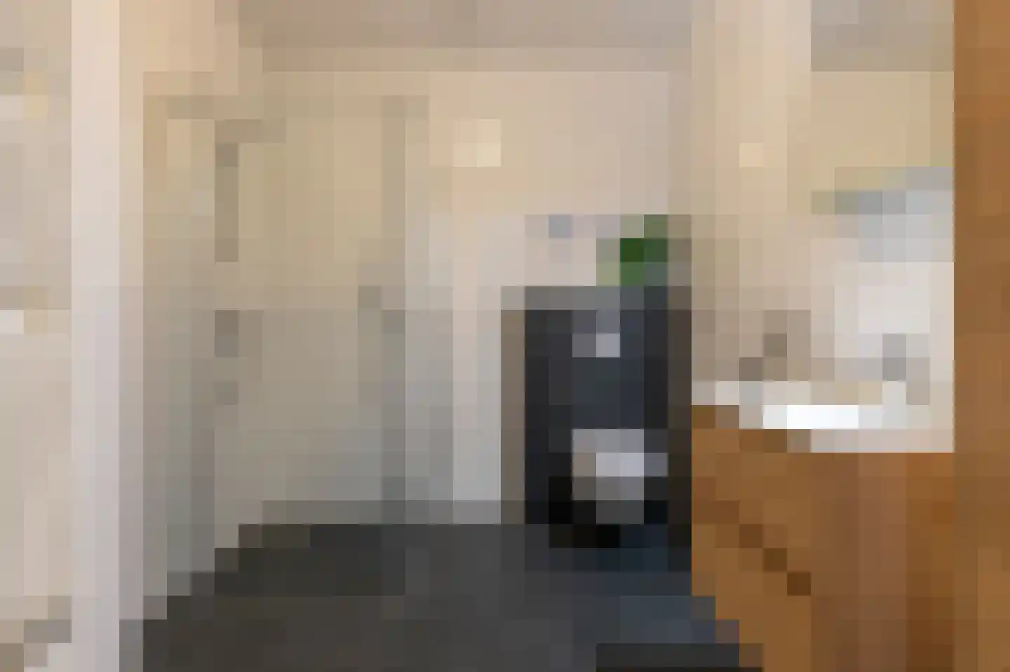 Nicolaas ter Maethstraat 2 D Steenwijk thumbnail 26
