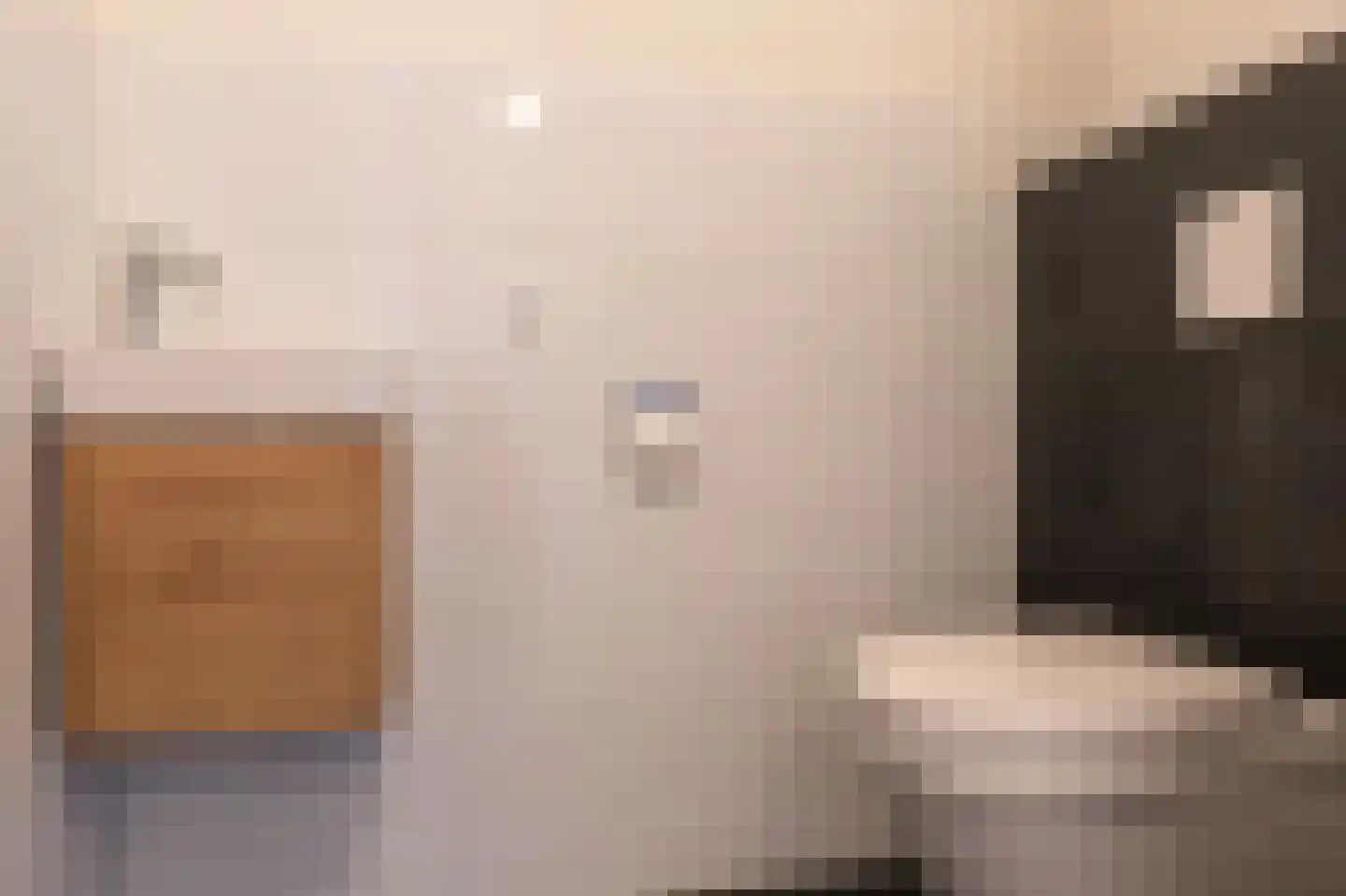 Nicolaas ter Maethstraat 2 D Steenwijk thumbnail 29