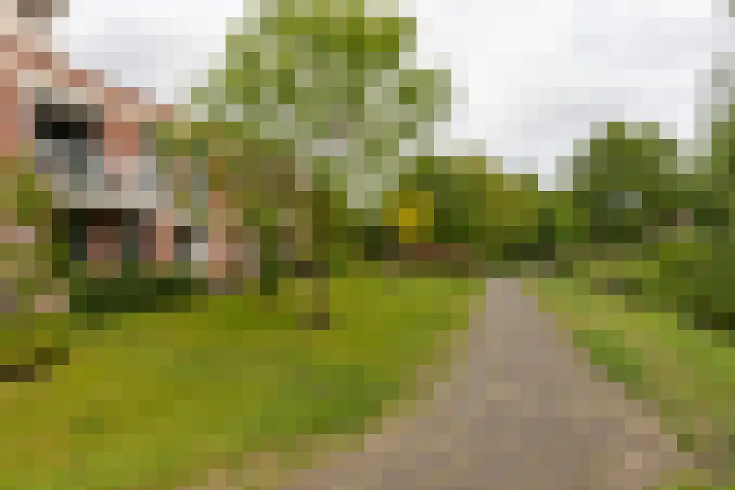 Nicolaas ter Maethstraat 2 D Steenwijk thumbnail 39