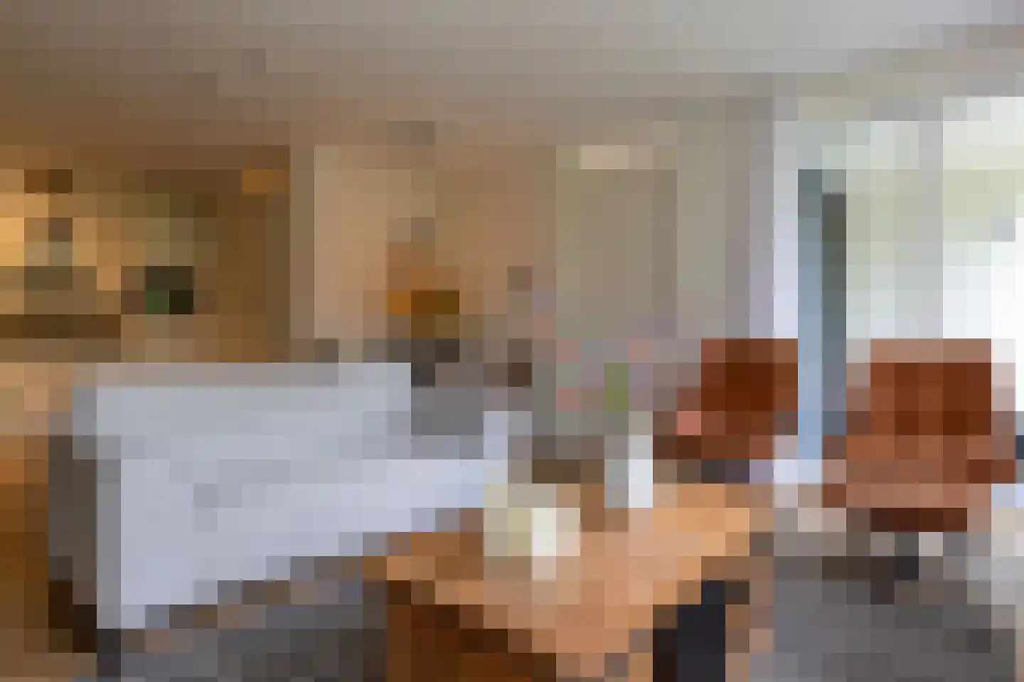 Nicolaas ter Maethstraat 2 D Steenwijk thumbnail 4