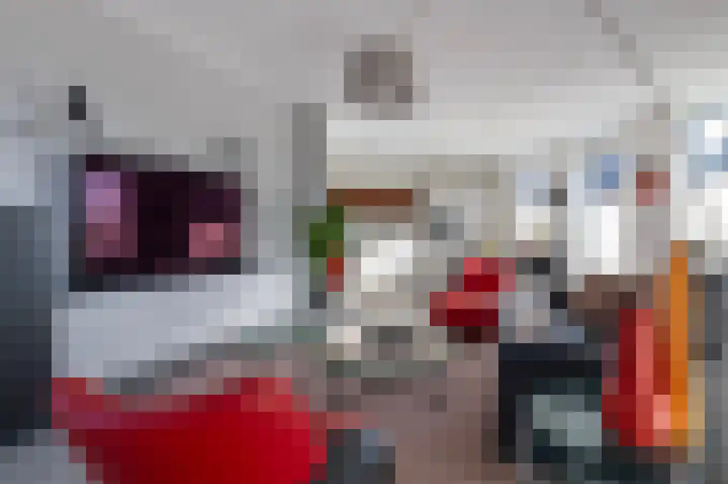 Nicolaas ter Maethstraat 2 Steenwijk thumbnail 11