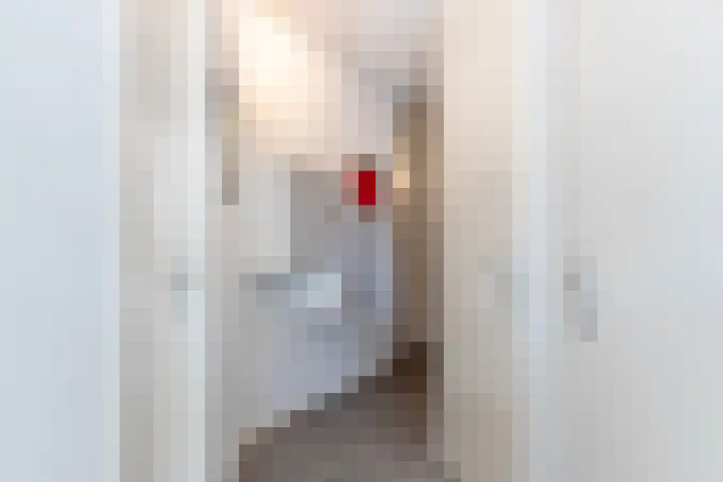 Nicolaas ter Maethstraat 2 Steenwijk thumbnail 23