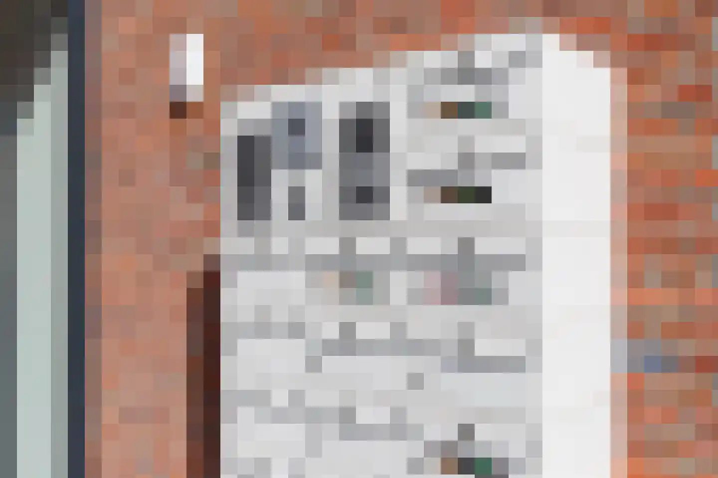 Nicolaas ter Maethstraat 2 Steenwijk thumbnail 35