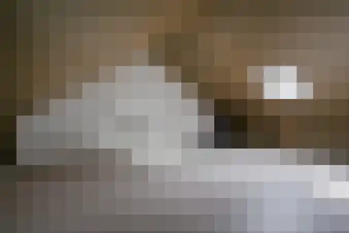 Nicolaas ter Maethstraat 23 A Steenwijk thumbnail 31