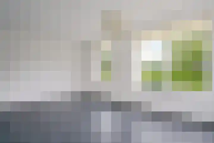 Nicolaas ter Maethstraat 23 A Steenwijk thumbnail 9