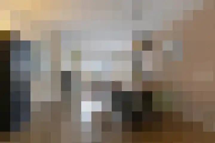 Nicolaas ter Maethstraat 23 Steenwijk thumbnail 10