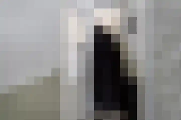 Nicolaas ter Maethstraat 23 Steenwijk thumbnail 4