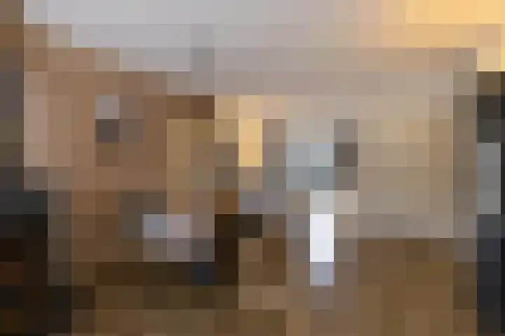 Nicolaas ter Maethstraat 23 Steenwijk thumbnail 9