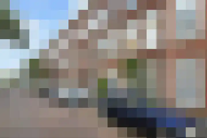 Nicolaas Tulpstraat 13 Den Haag thumbnail 39
