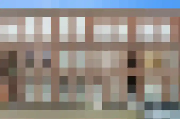 Nicolaas Tulpstraat 19 Den Haag thumbnail 5