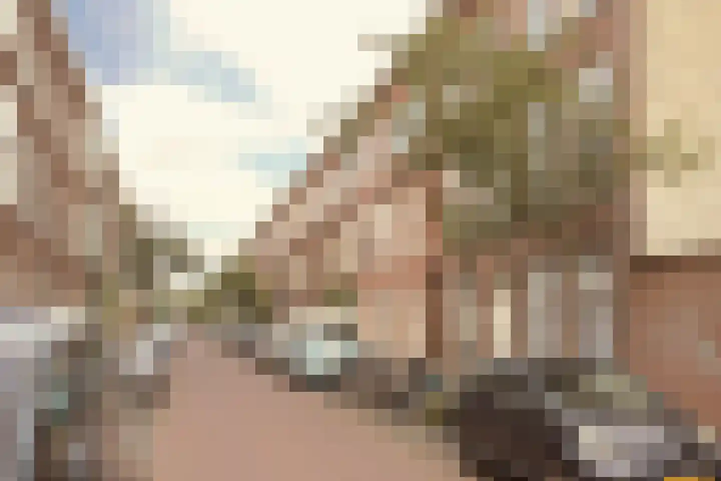 Nicolaas Tulpstraat 3 Den Haag thumbnail 27