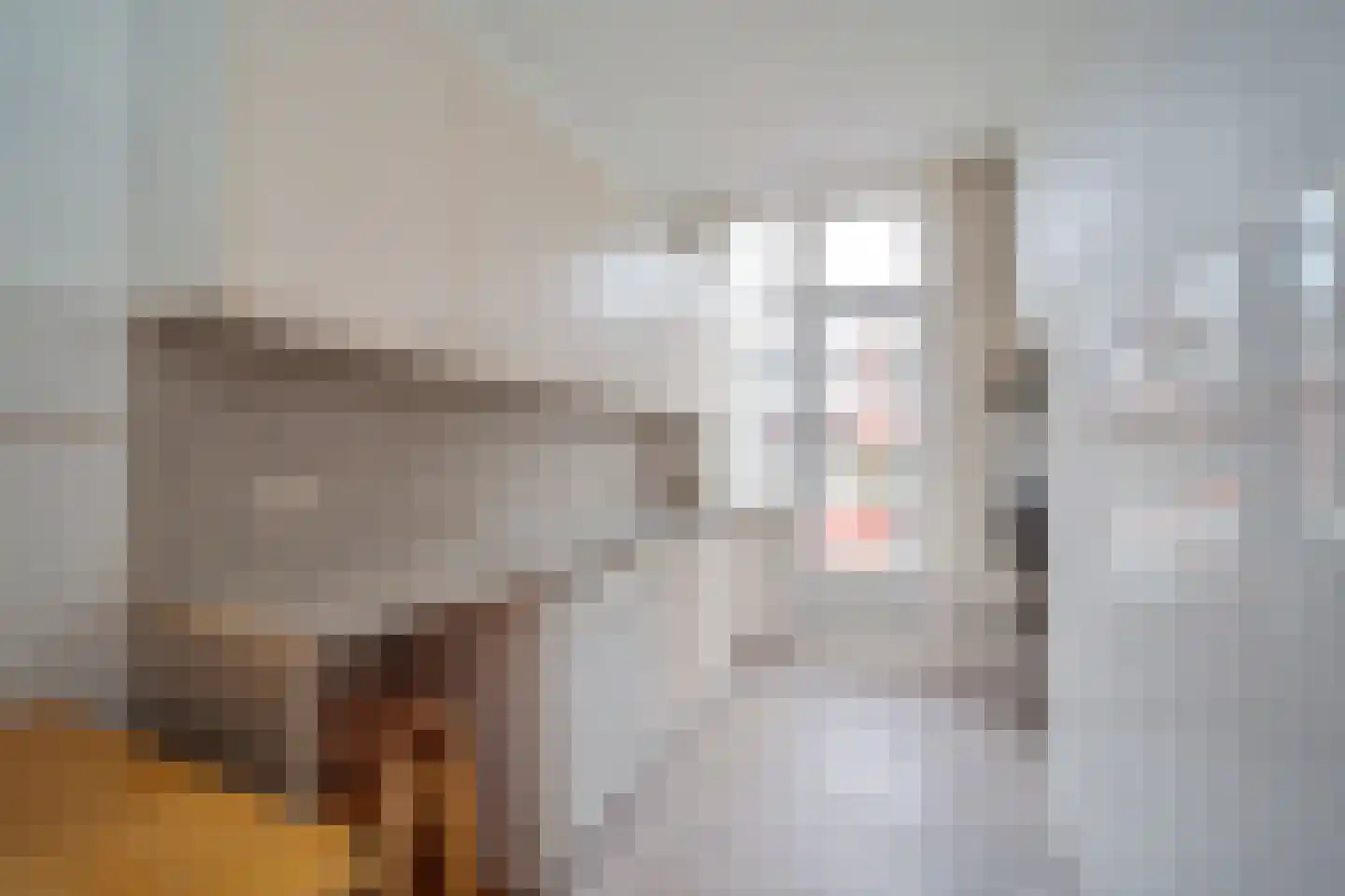 Nicolaas Tulpstraat 3 Den Haag thumbnail 5
