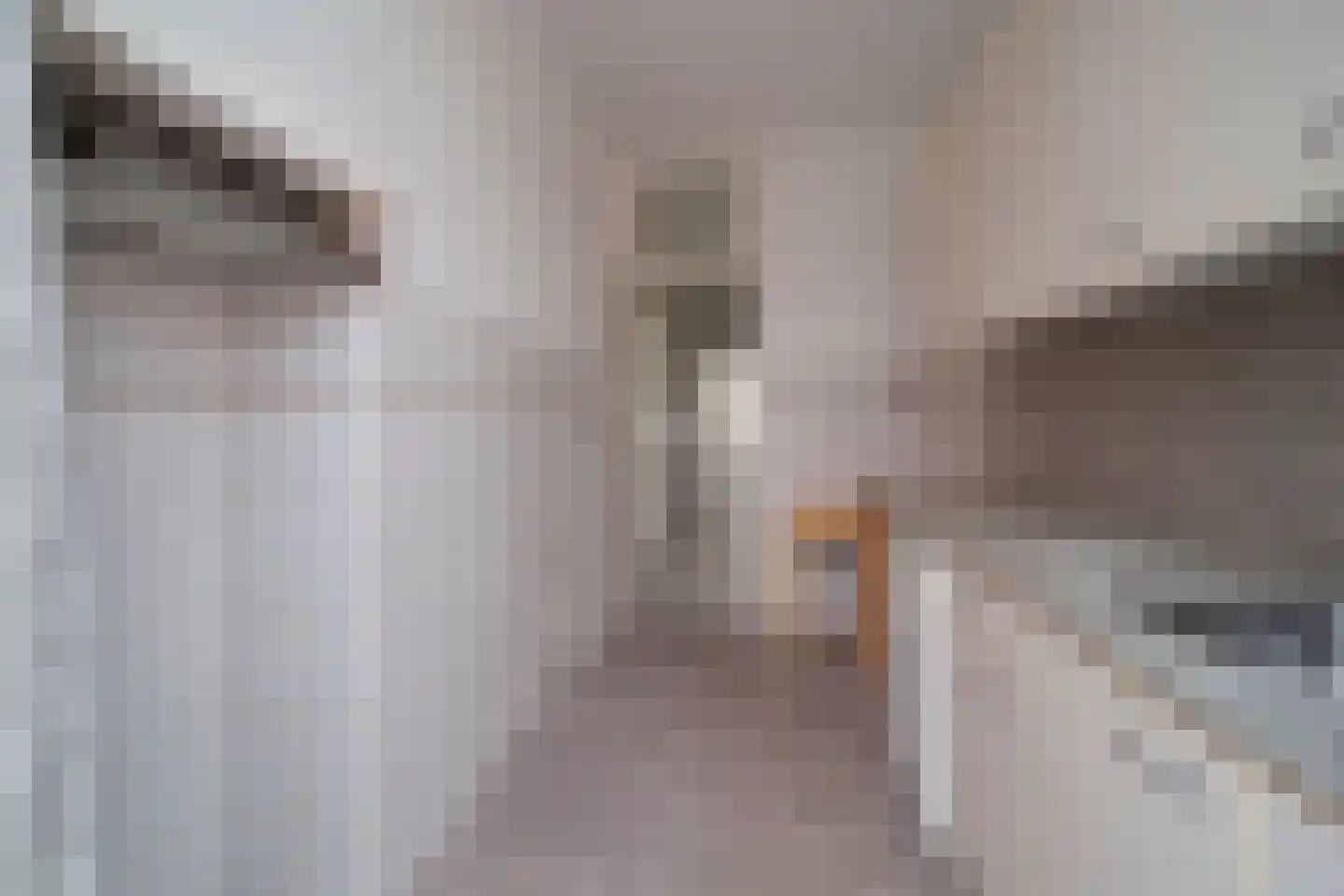 Nicolaas Tulpstraat 3 Den Haag thumbnail 6