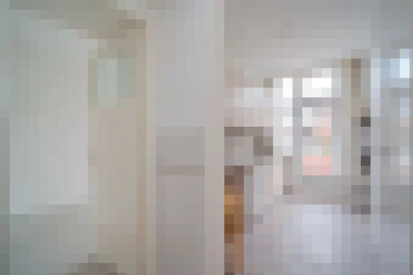 Nicolaas Tulpstraat 3 Den Haag thumbnail 7