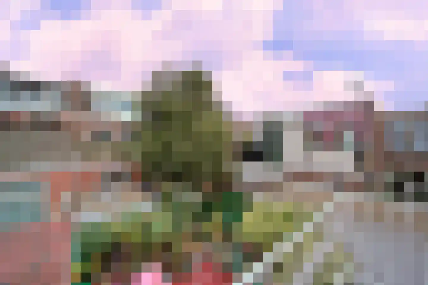 Nicolaas Tulpstraat 3 Den Haag thumbnail 8
