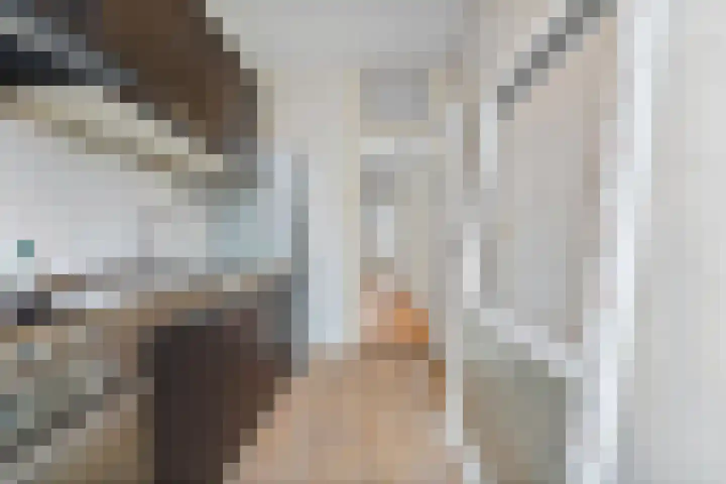 Nicolaas Tulpstraat 39 B Den Haag thumbnail 12