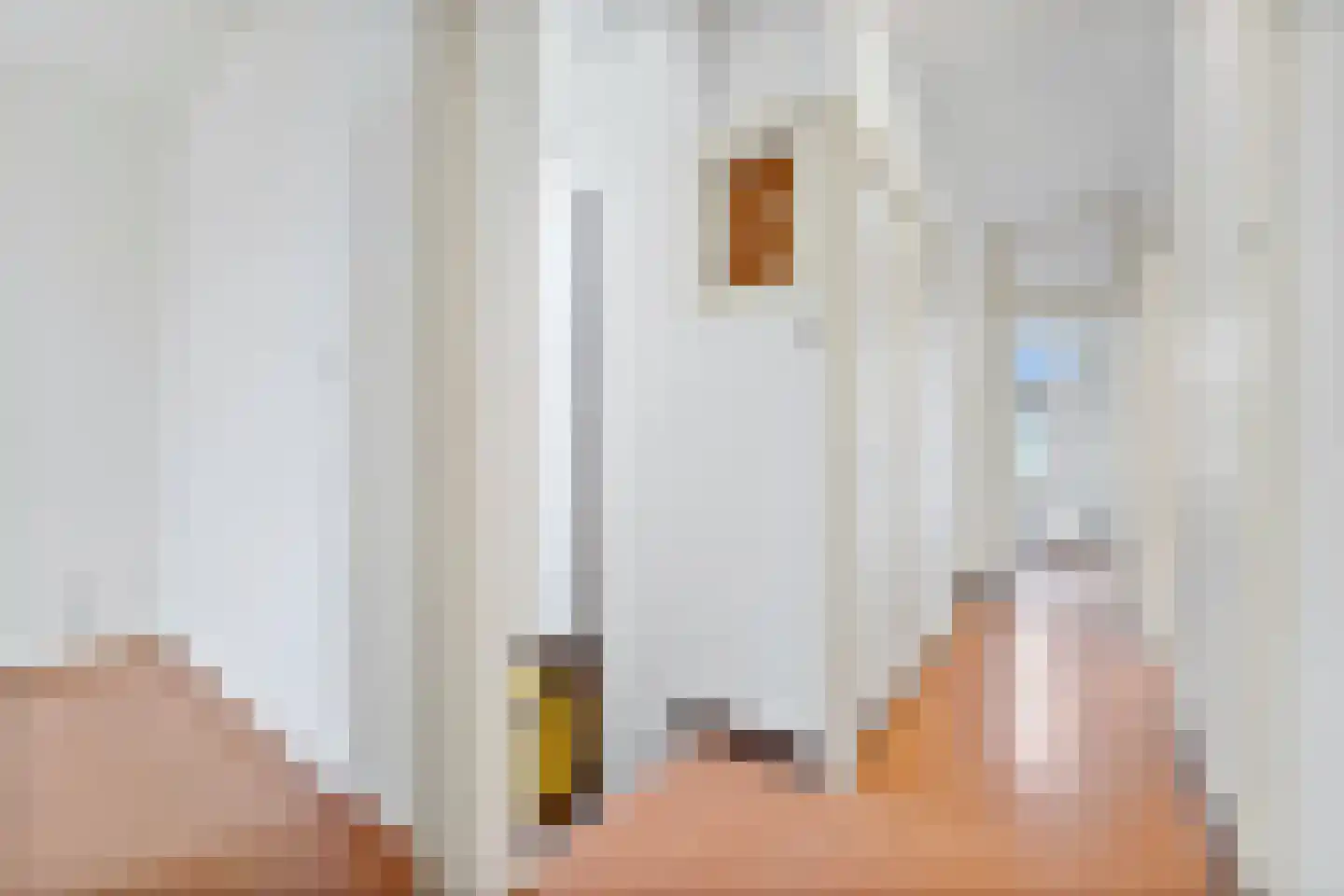 Nicolaas Tulpstraat 39 B Den Haag thumbnail 4