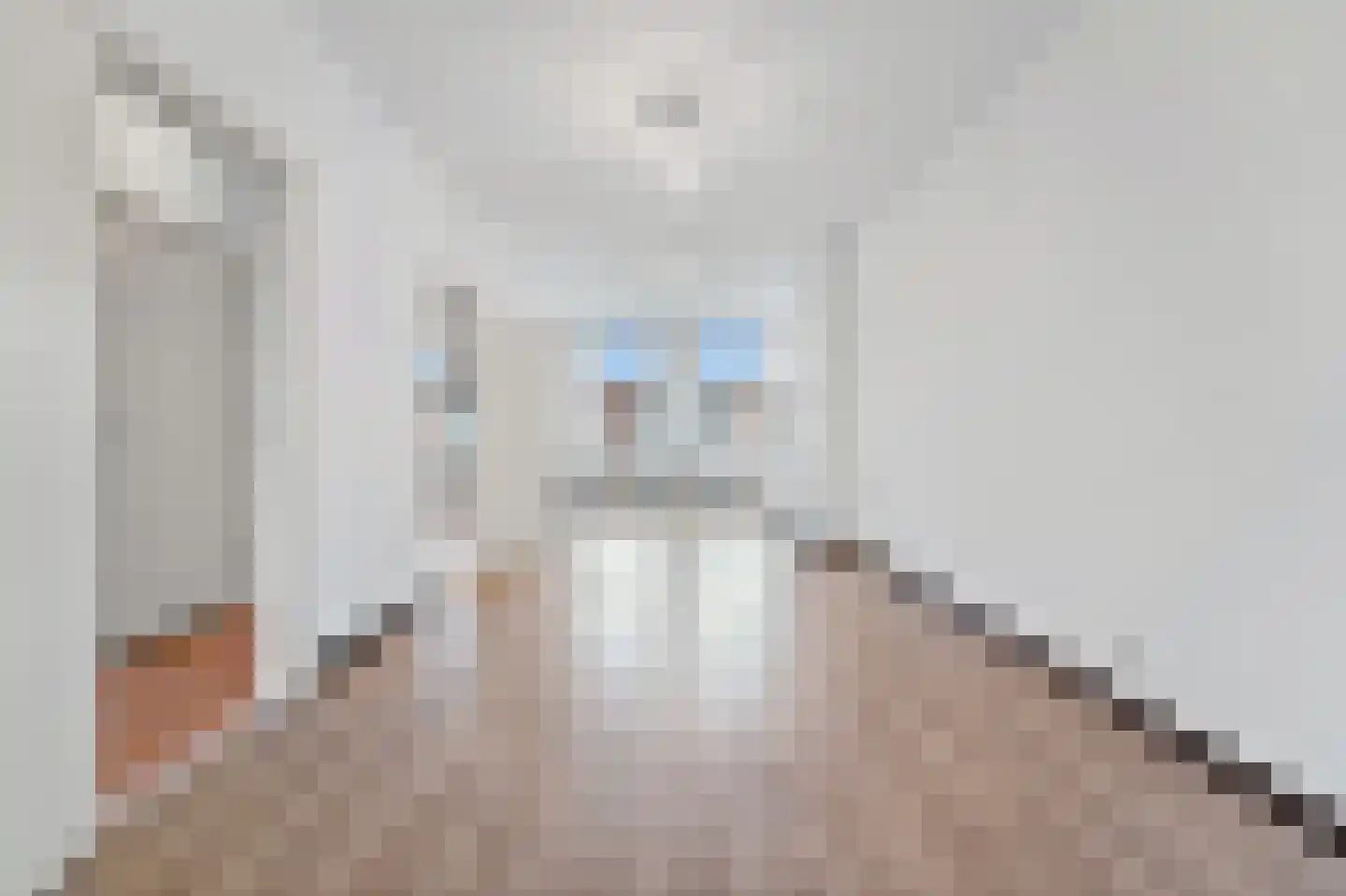 Nicolaas Tulpstraat 39 B Den Haag thumbnail 7