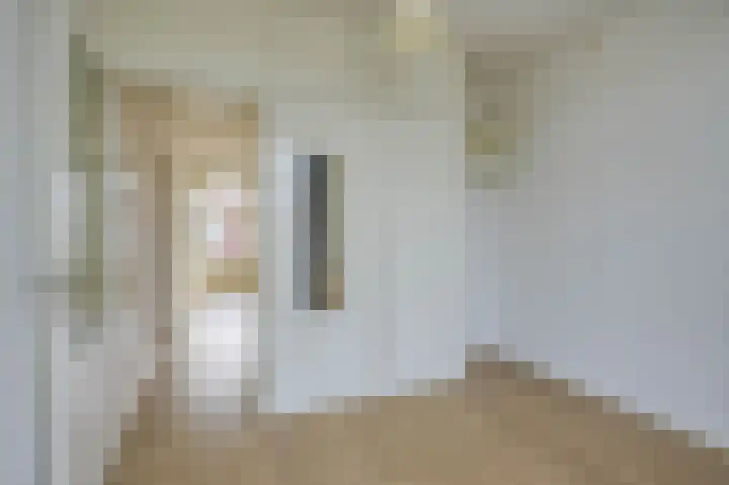 Nicolaas Tulpstraat 52 A Den Haag thumbnail 20