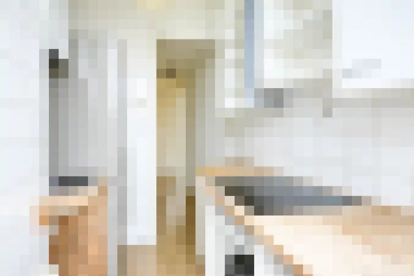 Nicolaas Tulpstraat 52 A Den Haag thumbnail 33