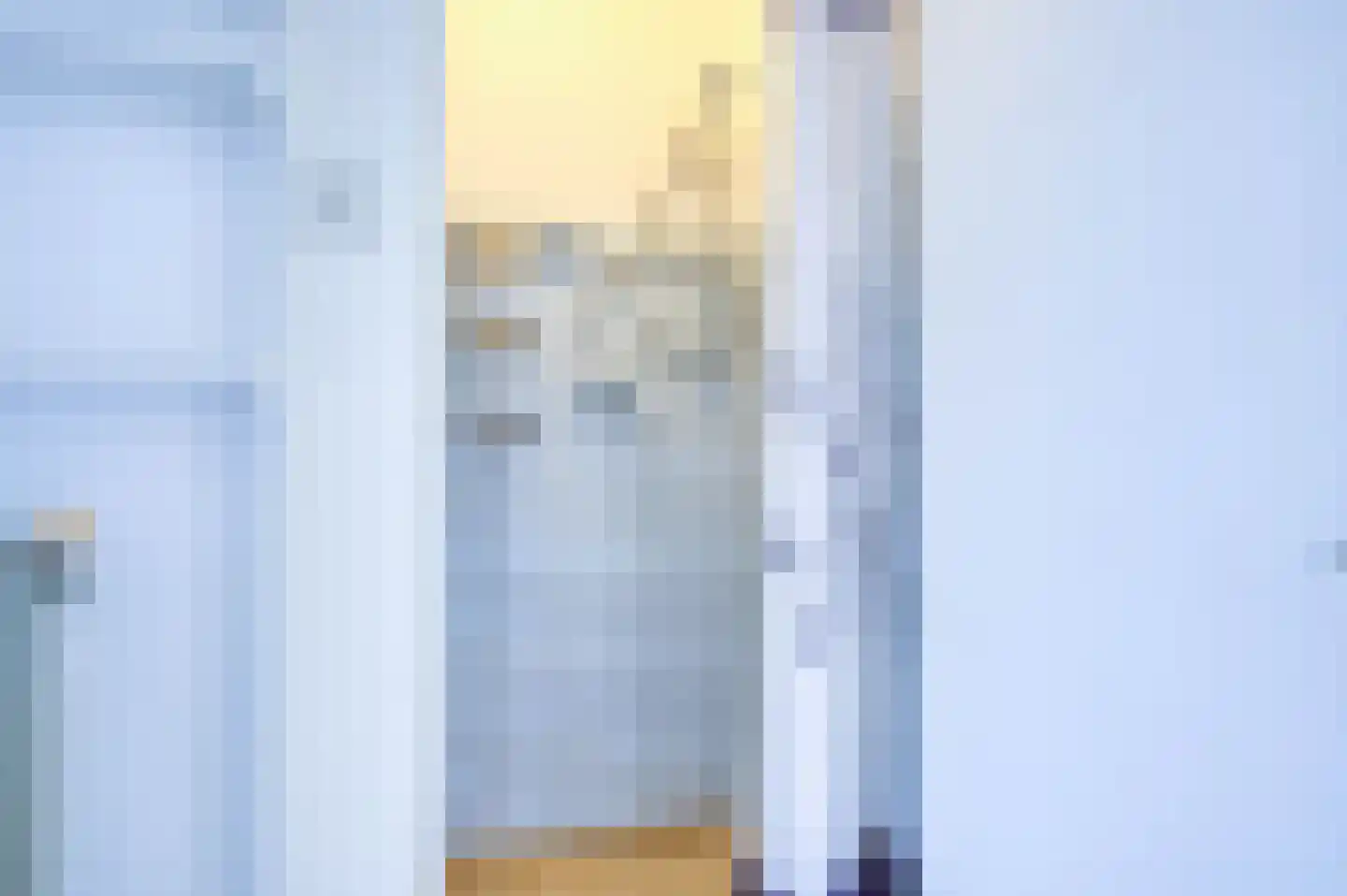 Nicolaas Tulpstraat 52 A Den Haag thumbnail 35