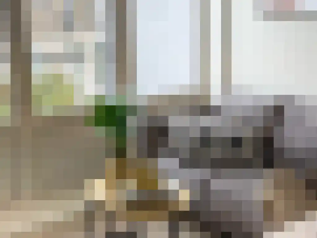 Nicolaas Tulpstraat 73 Den Haag thumbnail 5