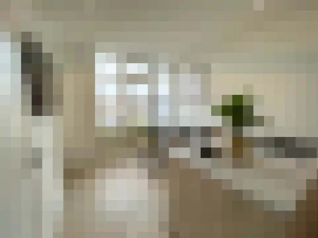 Nicolaas Tulpstraat 73 Den Haag thumbnail 6