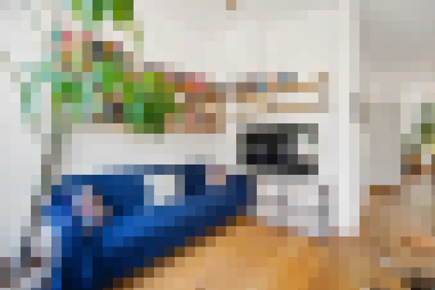 Nicolaas Tulpstraat 86 Den Haag thumbnail 12