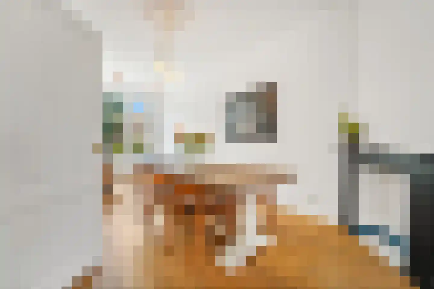 Nicolaas Tulpstraat 86 Den Haag thumbnail 17
