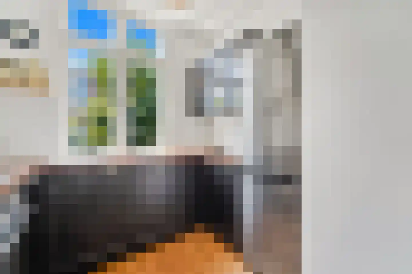 Nicolaas Tulpstraat 86 Den Haag thumbnail 22