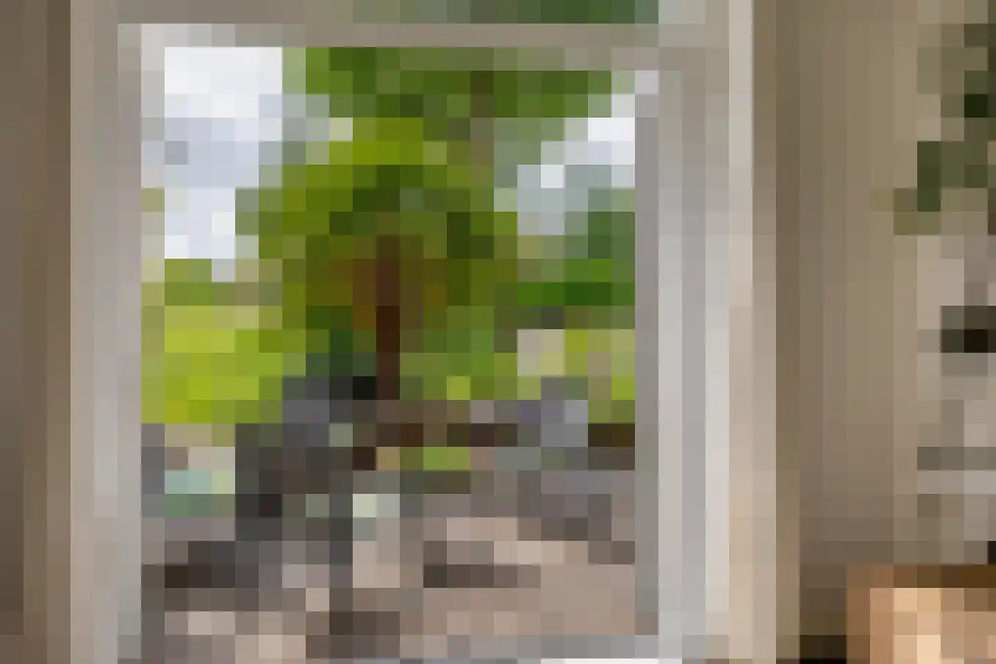 Nicolaas van Catsweg 1 Lopik thumbnail 13